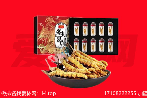 重庆石柱县回收虫草.jpg